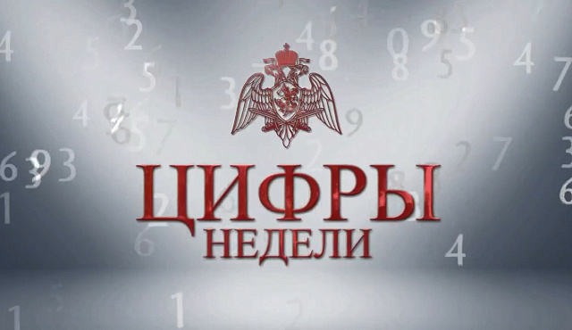 Итоги служебно-боевой деятельности столичного главка Росгвардии за неделю