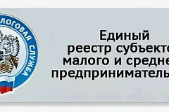 О Едином реестре субъектов малого и среднего предпринимательства